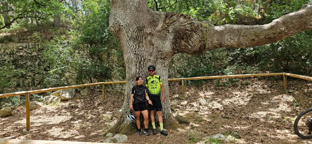 Alta Murgia National Park Self-Guided eBike Tour Immerse yourself in the heart of the Alta Murgia National Park with our self-guided eBike tour!