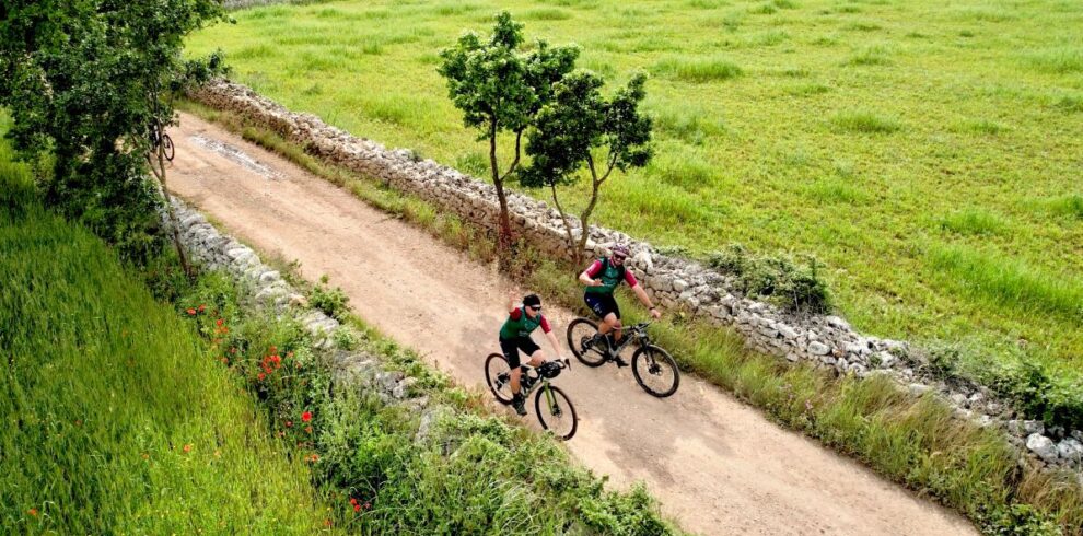 Sustainable Cycling in Puglia: Explore with Ebike Puglia