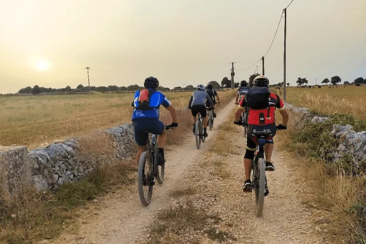 Experience Puglia like never before with our eco-friendly e-bikes. Choose your own path and immerse yourself in nature, discovering Puglia's hidden gems.