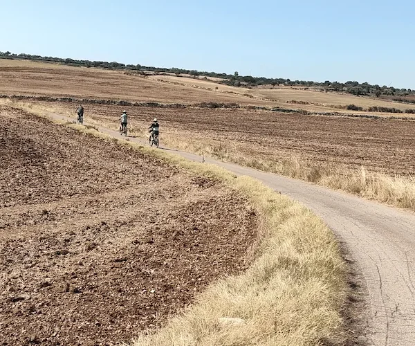 Experience Puglia like never before with our eco-friendly e-bikes. Choose your own path and immerse yourself in nature, discovering Puglia's hidden gems.