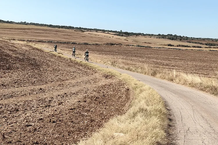 Experience Puglia like never before with our eco-friendly e-bikes. Choose your own path and immerse yourself in nature, discovering Puglia's hidden gems.