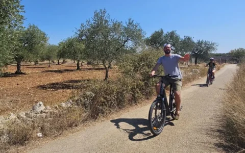 Imagine pedaling gently along a country road, the warm sun on your skin and the rich scent of ripe grapes in the air.