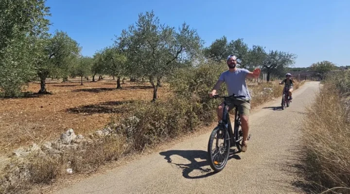 Imagine pedaling gently along a country road, the warm sun on your skin and the rich scent of ripe grapes in the air.