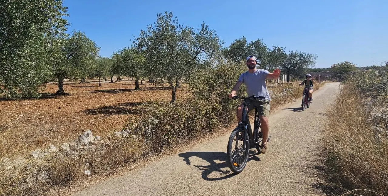 Imagine pedaling gently along a country road, the warm sun on your skin and the rich scent of ripe grapes in the air.