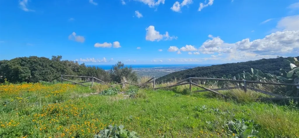 Explore the Beauty of Torre Canne & Parco delle Dune Costiere